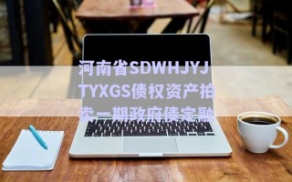 河南省SDWHJYJTYXGS債權資產(chǎn)拍賣一期政府債定融