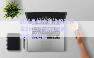 武陟縣城市建設(shè)投資開發(fā)2025年債權(quán)項目政府債定融