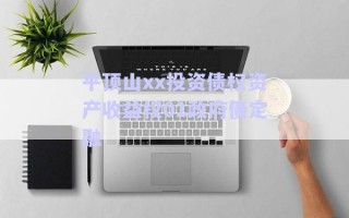 平頂山xx投資債權資產收益權01政府債定融