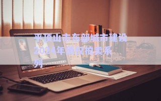 平頂山市東部城市建設2024年債權拍賣系列