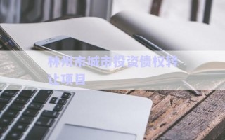 林州市城市投資債權轉讓項目