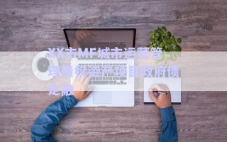 XX市MF城市運(yùn)營(yíng)管理債權(quán)資產(chǎn)項(xiàng)目政府債定融