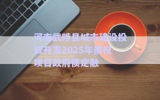 河南武陟縣城市建設(shè)投資開(kāi)發(fā)2025年債權(quán)項(xiàng)目政府債定融