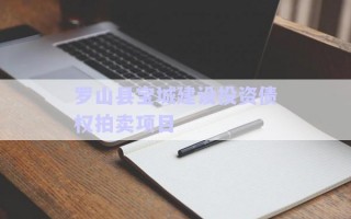 羅山縣寶城建設(shè)投資債權(quán)拍賣項目