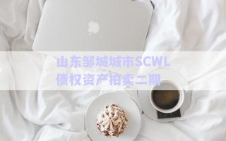 山東鄒城城市SCWL債權資產(chǎn)拍賣二期