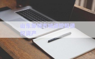 山東鄒城市城資控股債權(quán)資產(chǎn)