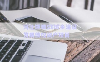 河北邯鄲SX城鄉(xiāng)建設(shè)發(fā)展債權(quán)資產(chǎn)項目