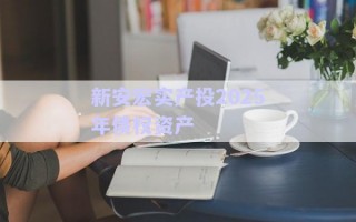 新安宏實(shí)產(chǎn)投2025年債權(quán)資產(chǎn)