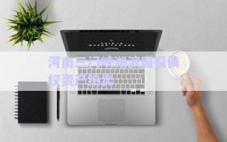 河南三門峽湖濱國投債權(quán)資產(chǎn)拍賣
