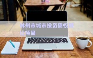 林州市城市投資債權(quán)轉(zhuǎn)讓項目