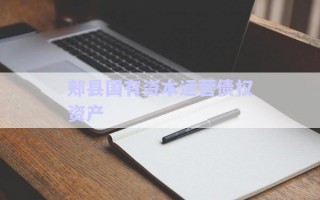 郟縣國有資本運營債權資產
