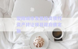 滎陽城市發(fā)展投資債權(quán)資產(chǎn)轉(zhuǎn)讓項(xiàng)目政府債定融