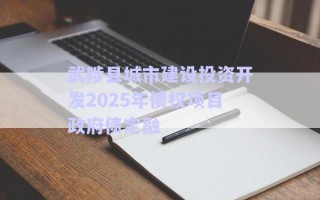 武陟縣城市建設(shè)投資開發(fā)2025年債權(quán)項目政府債定融