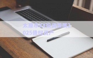 太原市XX投資發(fā)展2025債權資產