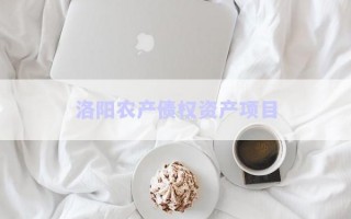 洛陽農(nóng)產(chǎn)債權(quán)資產(chǎn)項(xiàng)目