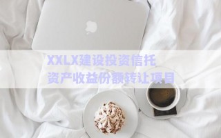 XXLX建設投資信托資產收益份額轉讓項目