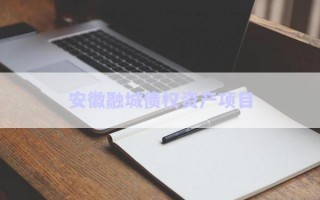 安徽融城債權(quán)資產(chǎn)項(xiàng)目