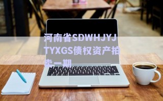 河南省SDWHJYJTYXGS債權資產(chǎn)拍賣一期