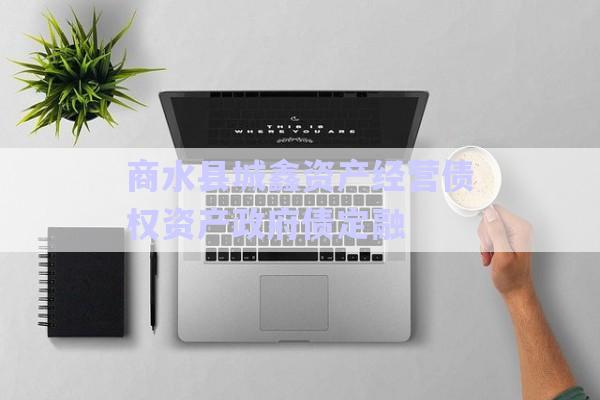 商水縣城鑫資產(chǎn)經(jīng)營債權資產(chǎn)政府債定融-第1張圖片-政信固收網(wǎng)