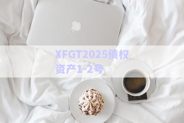 XFGT2025債權(quán)資產(chǎn)1-2號-第1張圖片-政信固收網(wǎng)