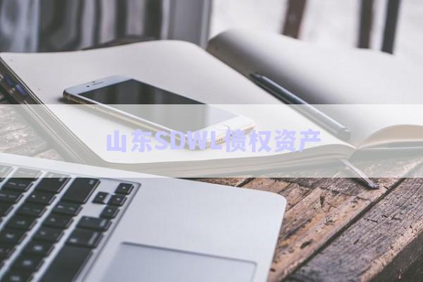 山東SDWL債權(quán)資產(chǎn)-第1張圖片-政信固收網(wǎng)