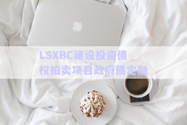 LSXBC建設(shè)投資債權(quán)拍賣項目政府債定融-第1張圖片-政信固收網(wǎng)